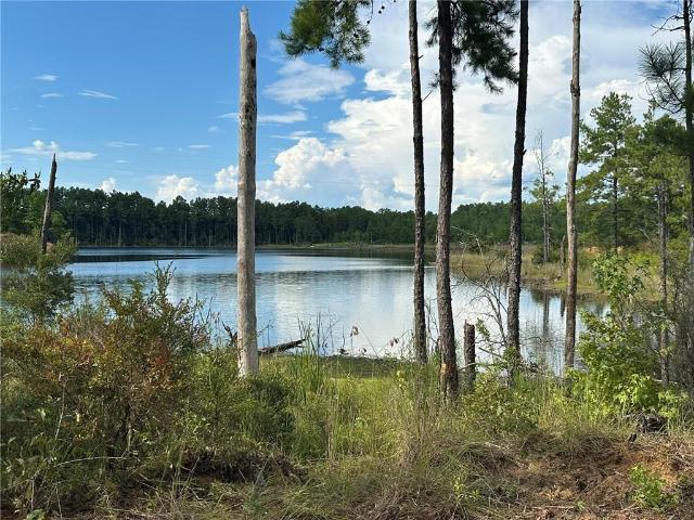 Land for sale in Colfax, Grant Parish