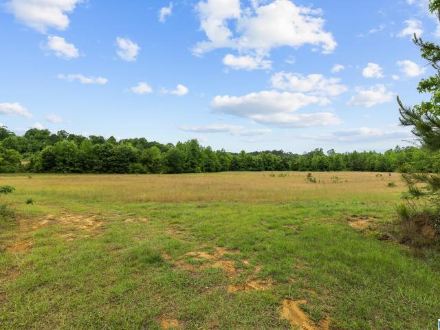 Land for sale in Maplesville, Alabama