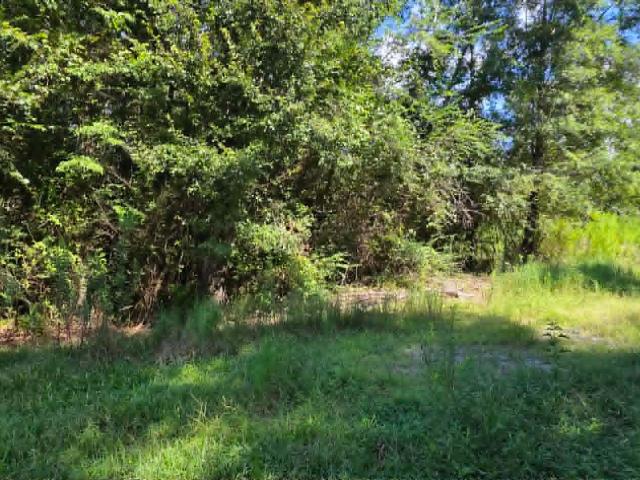 Land for sale in Colony, Hanceville