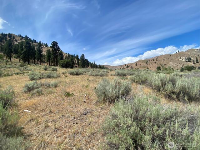 Land for sale in Entiat Land for sale in Entiat