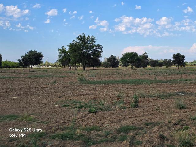 Property for sale in Corning, Tehama County