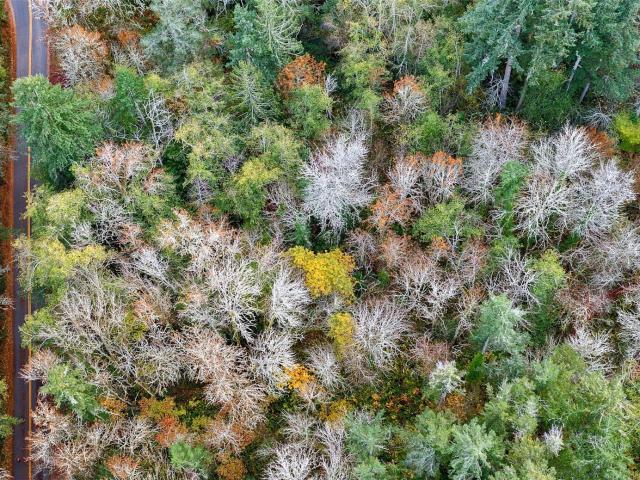 Land for sale in Fox Island, Washington