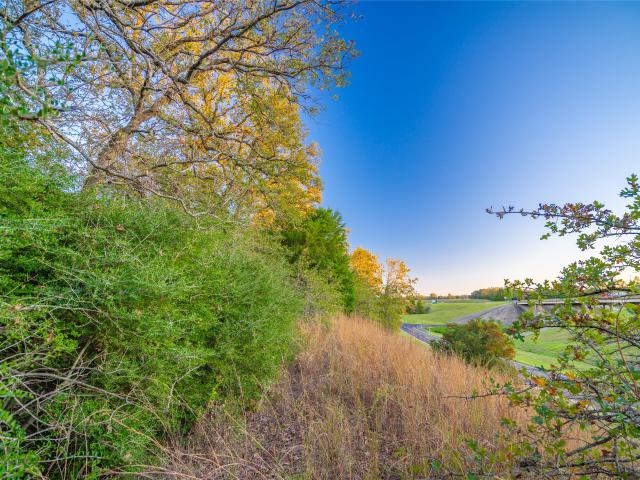 Land for sale in Leon, Texas