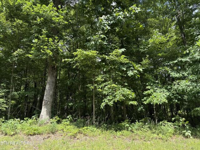 Land for sale in Tennessee