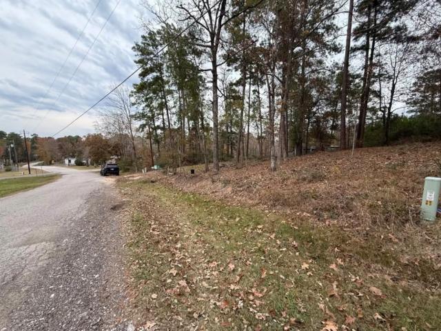 Land for sale in Onalaska, Polk County