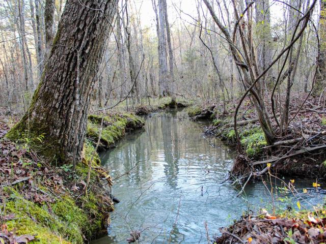 Land for sale in Alabama