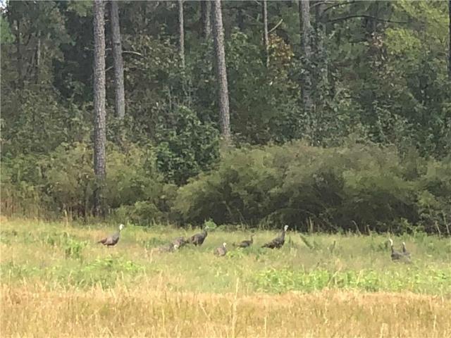 Land for sale in Bartow, Georgia