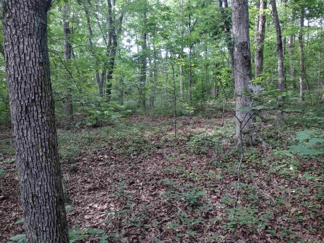 Land for sale in Ark
