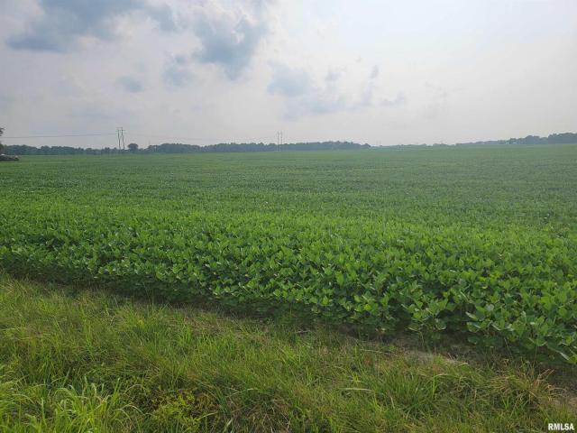 Land for sale in Louisville, Illinois