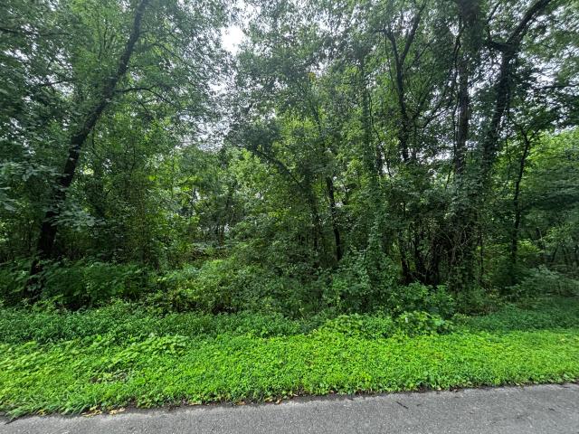 Land for sale in Tennessee