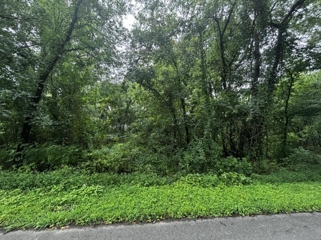 Land for sale in Tennessee