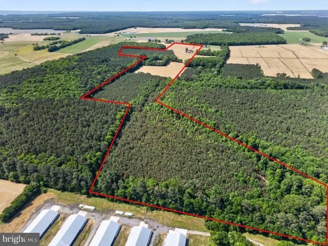 Farm for sale in Berlin, Maryland