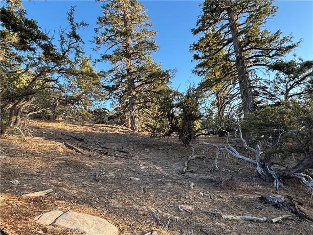 Land for sale in Angelus Oaks