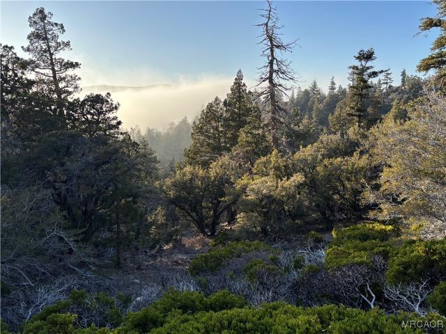Land for sale in California
