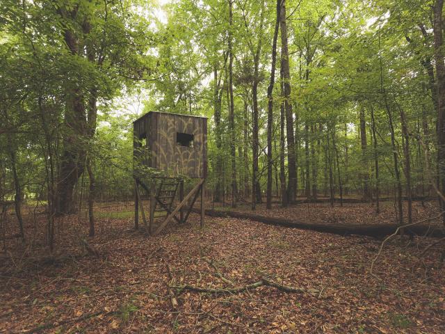Land for sale in Tennessee