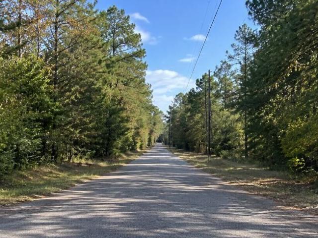 Land for sale in Sparta, Hancock County