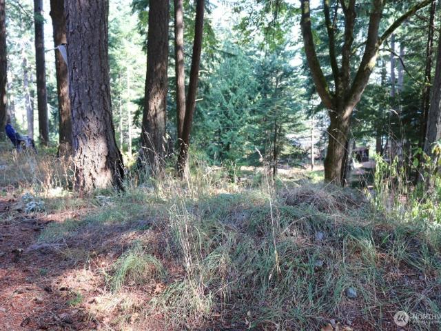 Land for sale in Washington