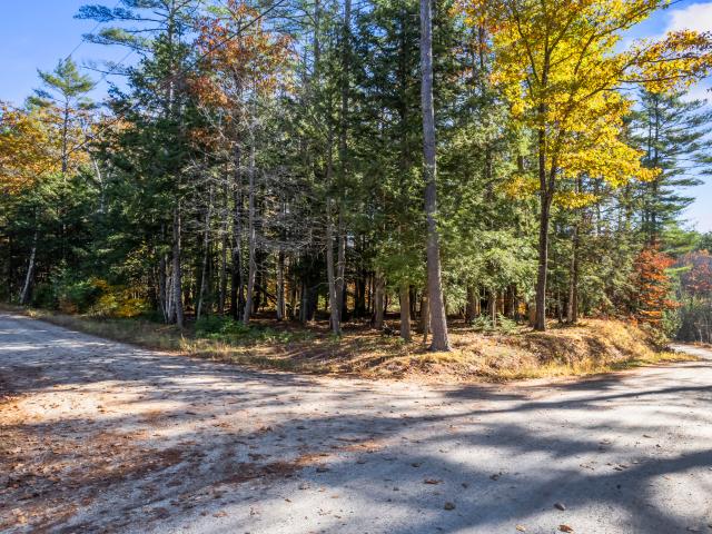 Property for sale in Limerick, Maine