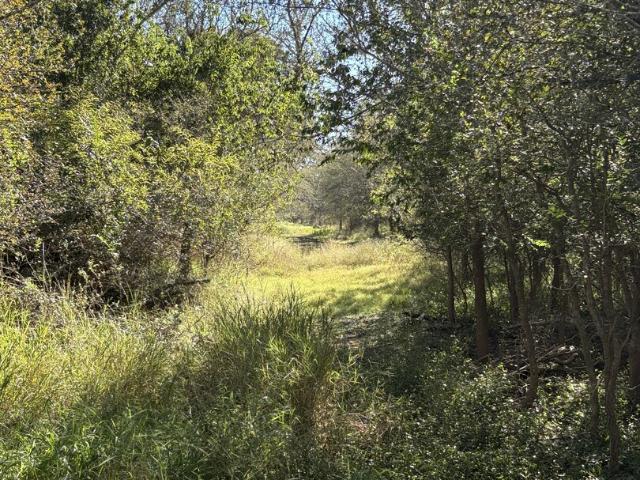 Land for sale in Bigfoot, Texas