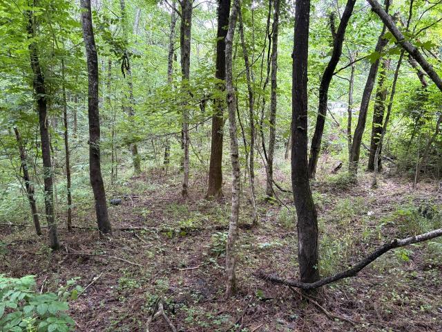 Land for sale in Tennessee