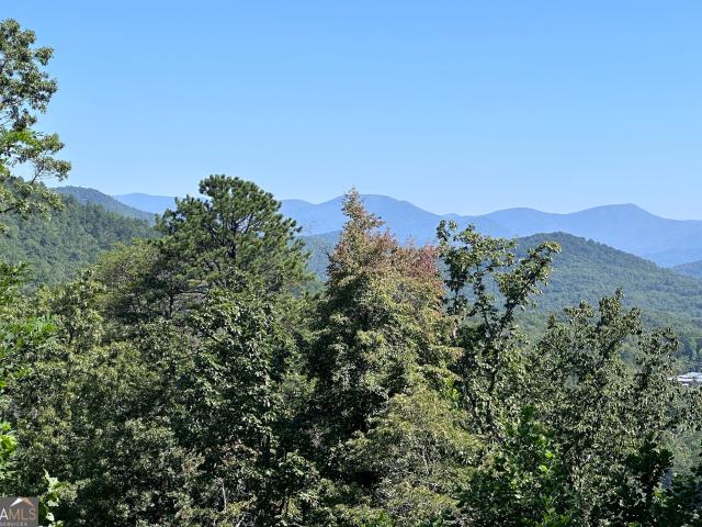Land for sale in Clarkesville, Georgia