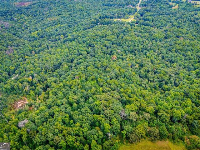 Land for sale in Carrollton, Georgia