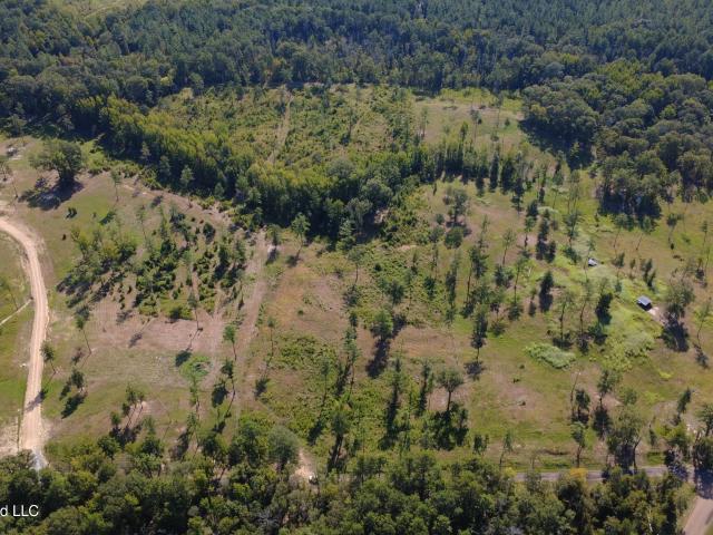 Land for sale in Utica, Mississippi