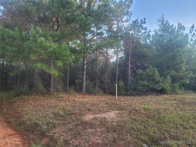 Land for sale in Evergreen, Alabama