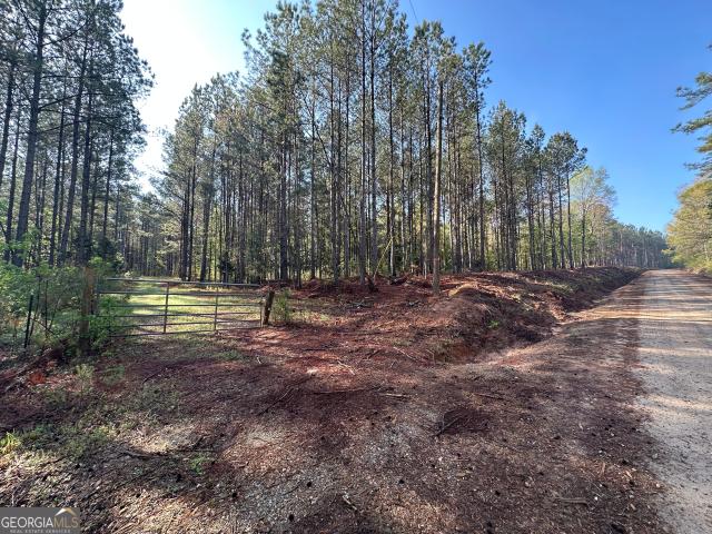 Land for sale in Warm Springs, Georgia