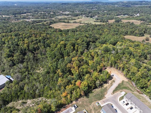 Land for sale in Henry Crossroads, Sevierville