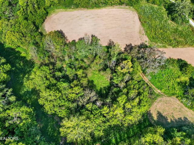 Land for sale in Gainesboro, Middle Tennessee