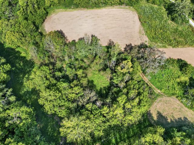 Land for sale in Gainesboro, Middle Tennessee