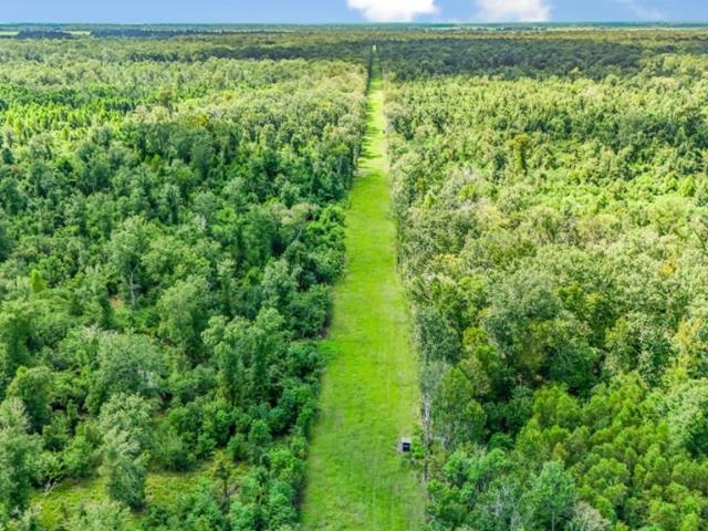 Land for sale in Port Allen, Louisiana