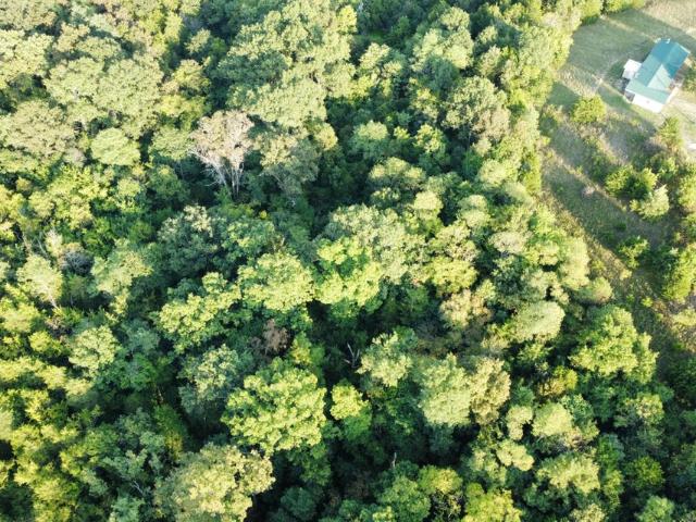 Land for sale in Owenton, Kentucky