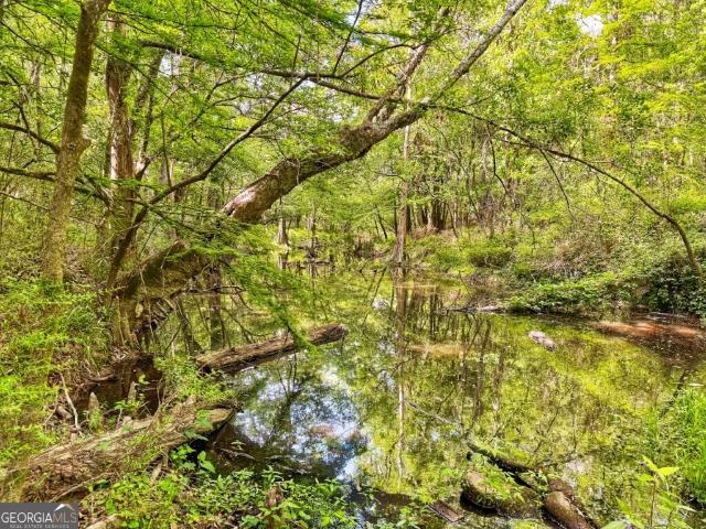 Land for sale in Picayune, Mississippi