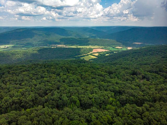 Property for sale in Tennessee