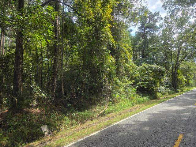 Land for sale in Cottageville, South Carolina
