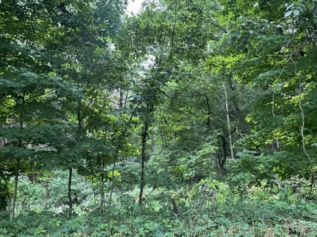 Land for sale in Michigan