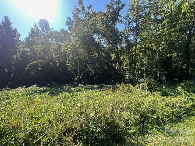 Land for sale in Connellys Springs, North Carolina