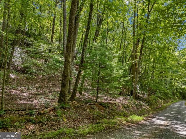 Land for sale in Blue Ridge, Gilmer County