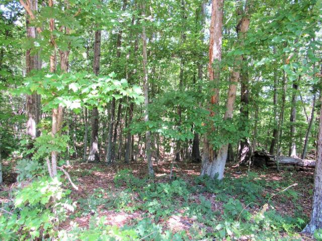 Land for sale in Virginia