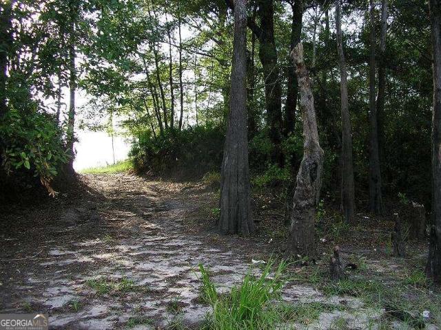 Land for sale in Georgia