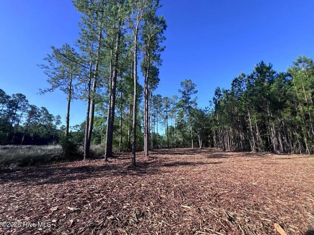 Land for sale in Aurora, North Carolina