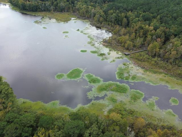 Land for sale in Summerton, South Carolina