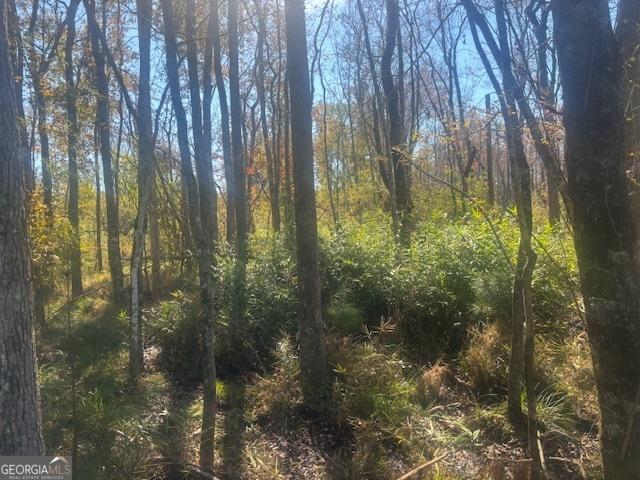 Land for sale in Cadwell, Georgia