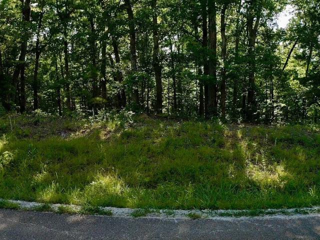 Land for sale in Tennessee
