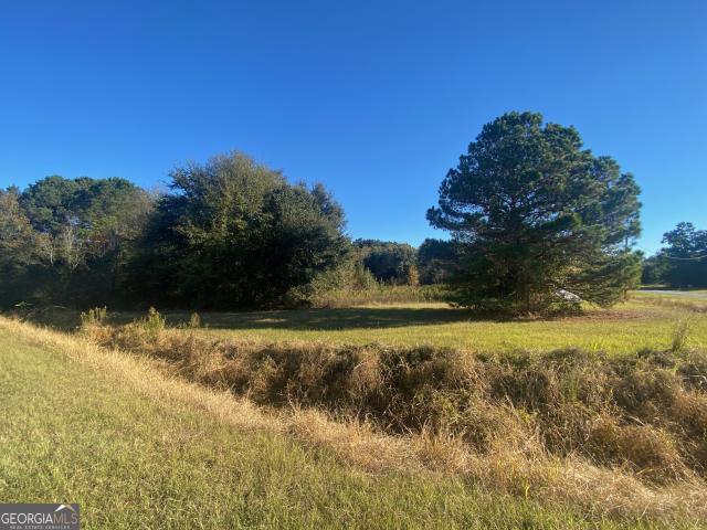 Land for sale in Unadilla, Georgia