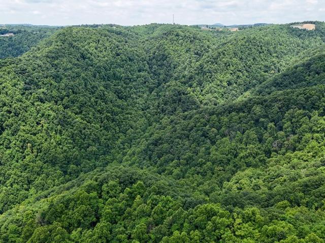Land for sale in Vesta, Meadows of Dan