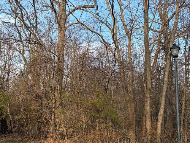 Land for sale in Virginia