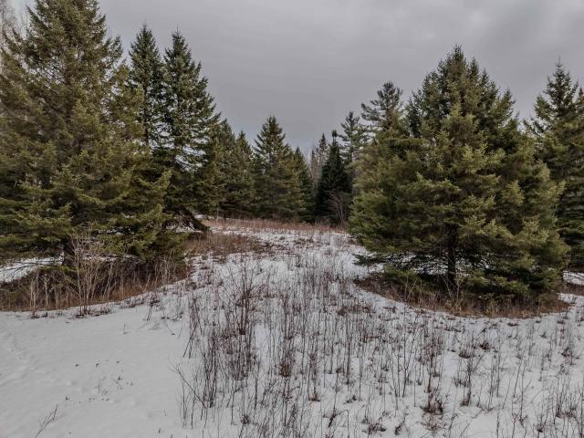 Land for sale in New Hampshire